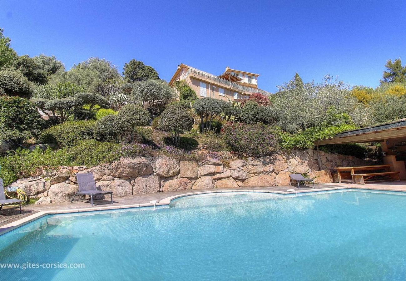 Villa in Porto-Vecchio - La Grande Piscine