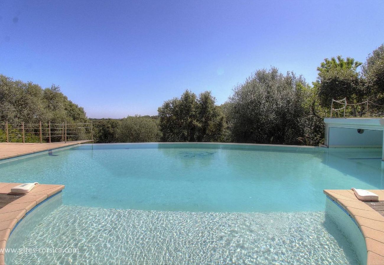 Villa in Porto-Vecchio - La Grande Piscine