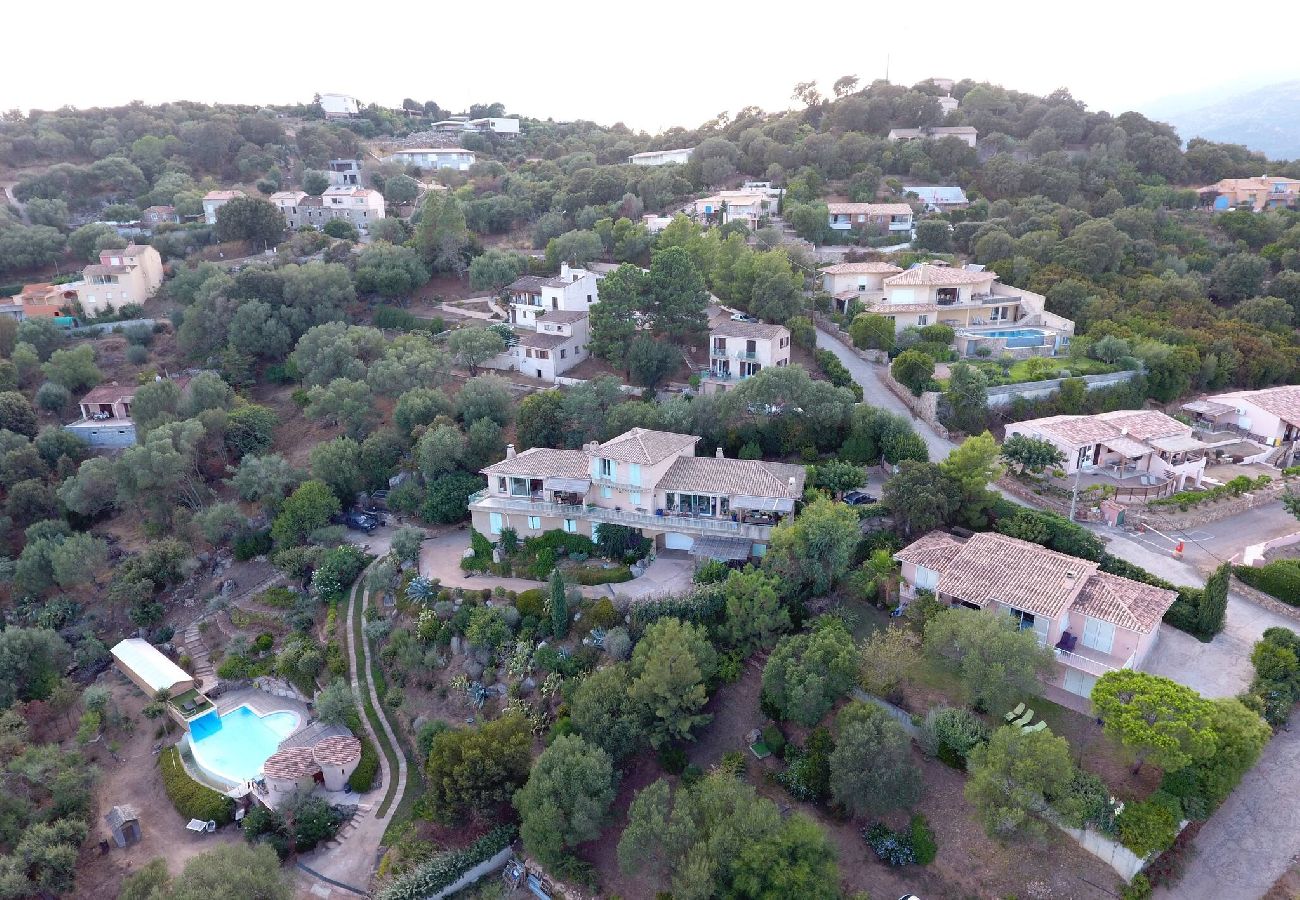 Villa in Porto-Vecchio - La Grande Piscine