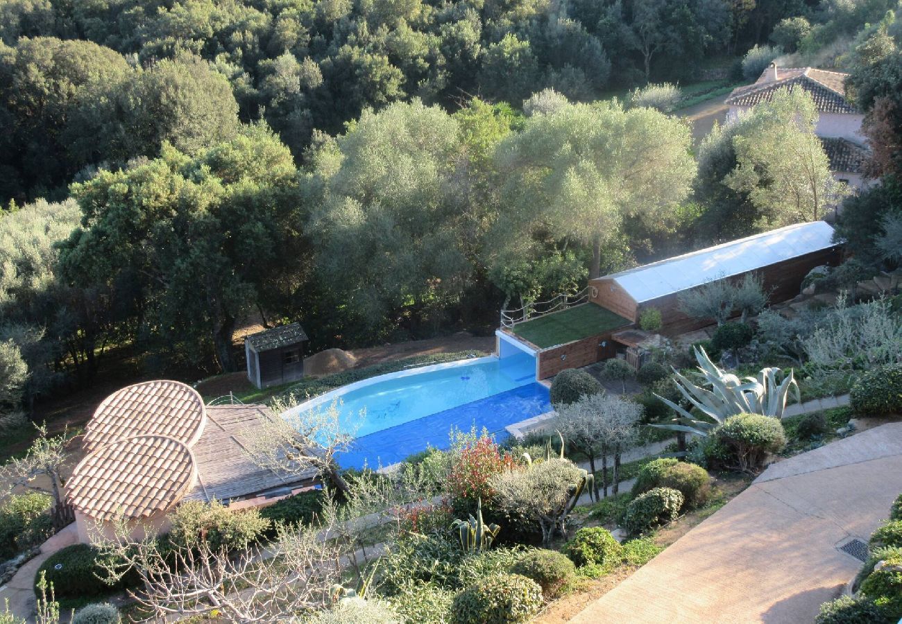 Villa in Porto-Vecchio - La Grande Piscine