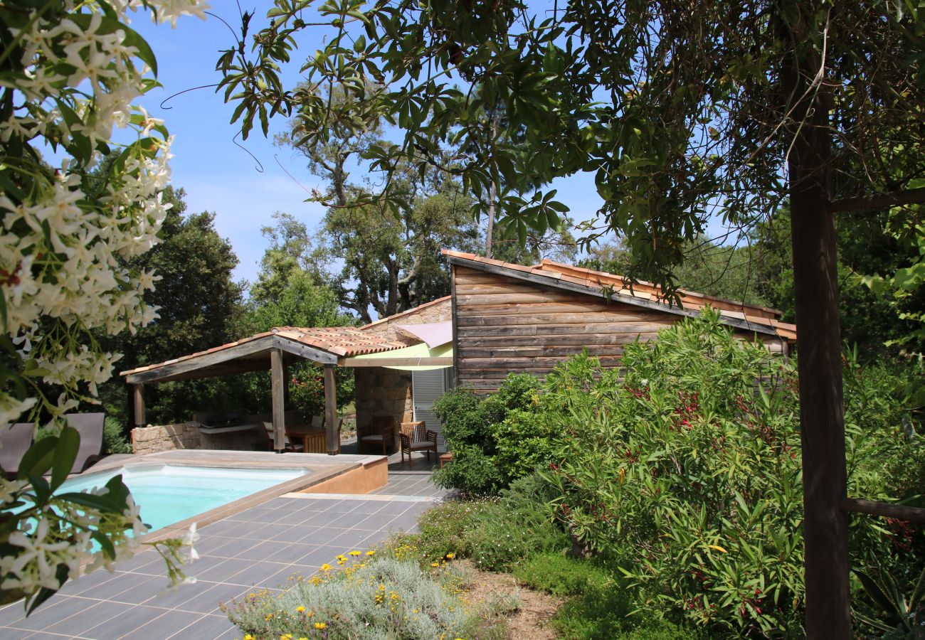 Villa in Pinarello - La Beregerie by Pinarello Villa Services