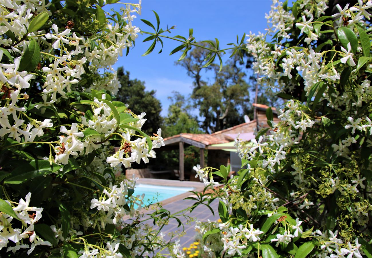 Villa in Pinarello - La Bergerie - Les Sittelles