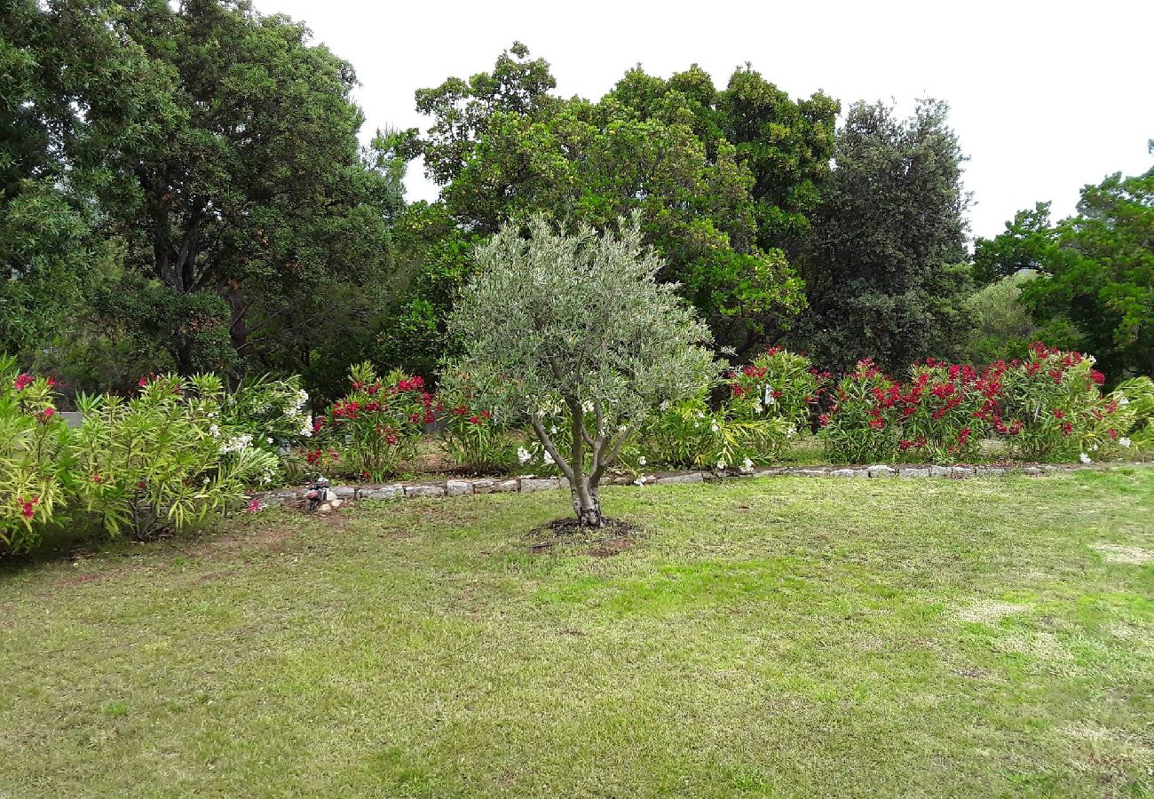 Villa à Sainte-Lucie de Porto-Vecchio - ROMANTIQUE